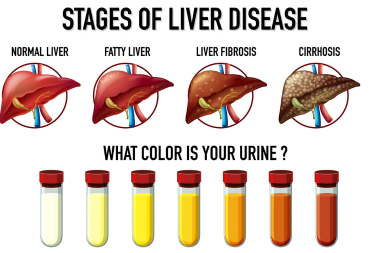 liver function tests in korba