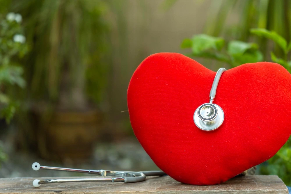 heart, cardio doctor in korba, cardiologist in korba